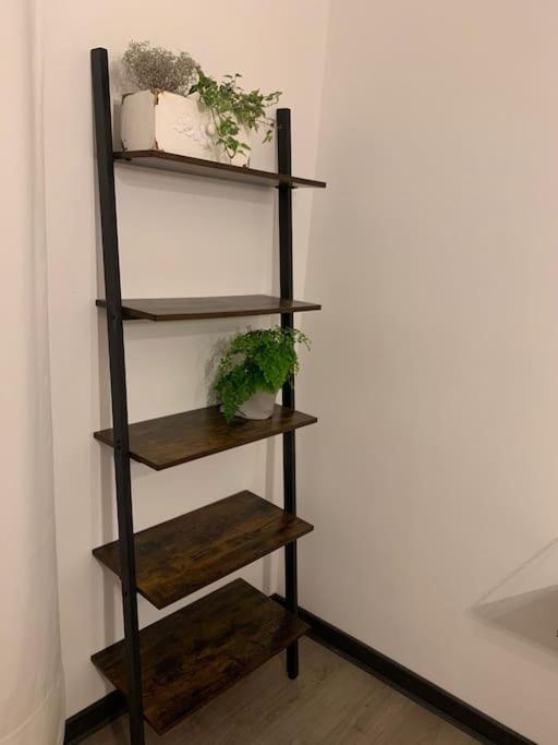 Dga Loft In Padua Center A Few Steps From Squares 아파트 외부 사진